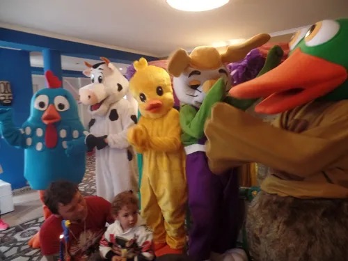 El Pollito Amarillito Granja De Zenon Adulto .alquiler X24 (Usado)