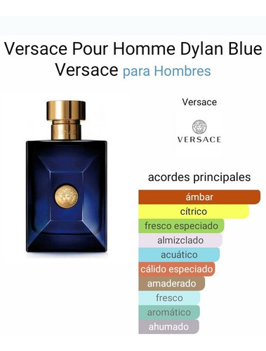 Perfume Hombre Dylan Blue De Versace Edt 100 Ml
