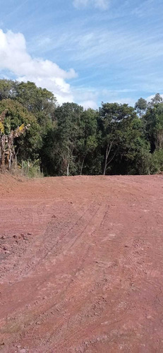 Imagem 6 de 10 de Terreno 1310m2 Vendido!!!