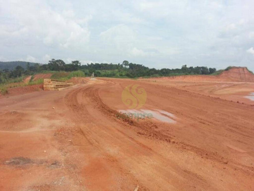 Imagem 4 de 16 de Terreno Industrial De 20.000 M² Em Betim/mg - Te0003