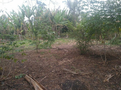 Imagem 12 de 13 de Chácara À Venda, 1600 M² Por R$ 350.000,00 - Caçapava Velha - Caçapava/sp - Ch0028