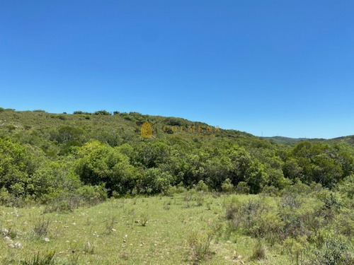 Campo Con Casa, Tajamar Monte Natural Muy Cerca De Aigua Consulte.- Ref: 1552