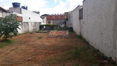 Terreno À Venda, 500 M²- Jardim Tranqüilidade - Guarulhos/sp - Cód. Te0331 - Ai9708