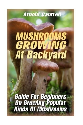 Mushrooms Growing At Backyard Guide For Beginners On Growing