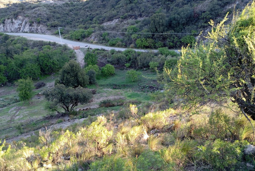 Venta Terrenos (varias Opciones) En Potrero De Los Funes La Curuxa
