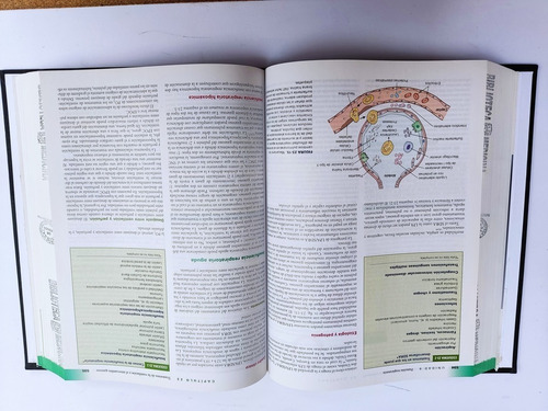 Libro Fundamentos De Fisiopatologia C. M. Porth 159h2 (Usado)