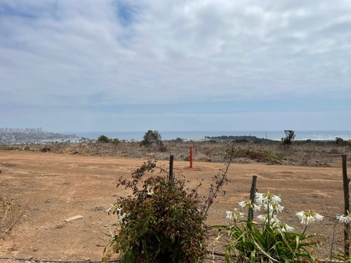 Imagen 27 de 29 de Parcela En Venta Sector Concón / Viña Del Mar