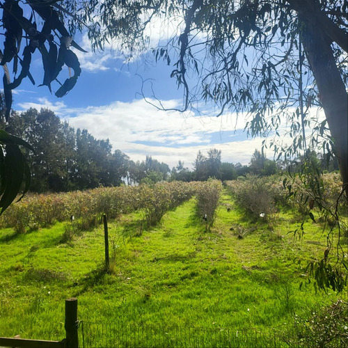 Chacra En Venta En Maldonado