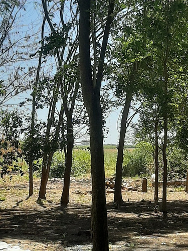 Casa Quinta Campo Alquiler Temporal
