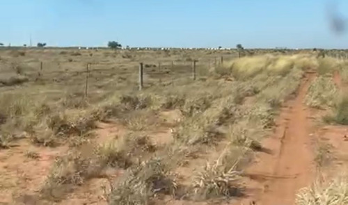 Imagem 5 de 14 de Fazenda De Grande Extensão Dupla Aptidão Para Venda Na Região De Campo Grande-ms, Com 4.742 Hectares, Montada Pecuária, Rica Em Agua, Pista Pouso - Fa00399 - 70075944