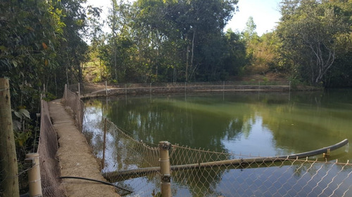 Imagem 15 de 20 de Chácara Com 5 Dormitórios À Venda, 4000 M² Por R$ 1.260.000,00 - Zona Rural - Silvânia/go - Ch0001