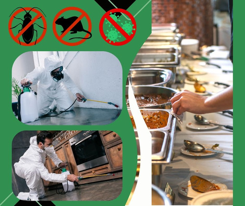 Servicios De Control De Plagas