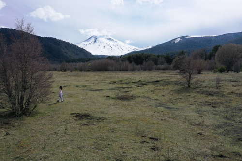 Terreno De Excelente Plusvalía - A 2,3 Km De Malalcahuello