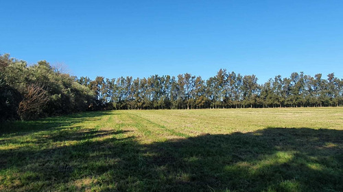 Imagen 13 de 13 de Venta Chacra 6,5 Hectareas Sobre Luis Batlle Berres