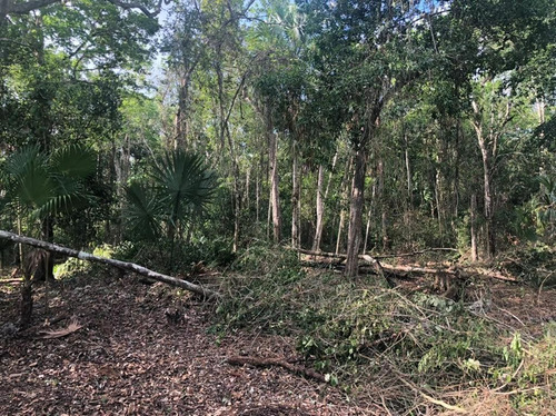 Lote En Venta En La Ruta De Los Cenotes. Qta. Roo.