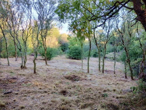 Terreno Con Escritura En Venta En El Tajamar, Las Rabonas, Traslasierra