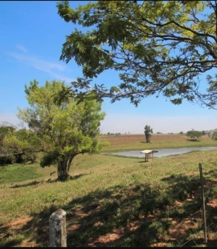 Imagem 8 de 22 de Fazenda 80 Alqueires, Rica Em Água Com Riacho, Aproveitamento De 85% Para Plantio, Estruturada Para Pecuária, Casa Sede E Funcionarios, Curral, Galpão - Fa00248 - 70737151