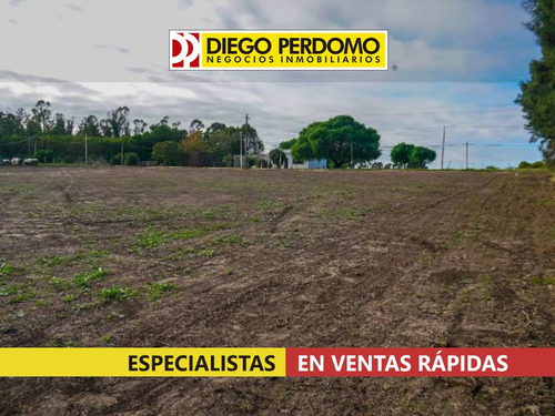 Terreno De 4.788 M², En Venta, Montevideo