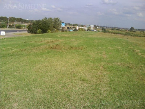 Imagen 12 de 30 de Excelente Terreno De 17 Ha, Sobre Camino Del Buen Ayre