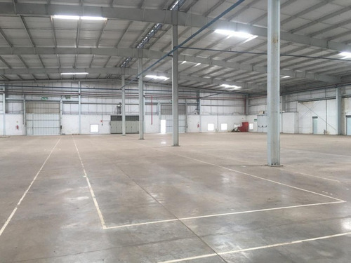 Imagem 13 de 22 de Galpão Logístico Para Locação Em Teutônia, Rs, Com Vocação Industrial Ou Logístico, Junto A Rs128, Pé Direito De 6,5m, Piso Industrial - Cl2126 - 70590855