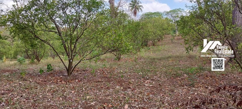 Imagen 5 de 6 de Venta De Finca De 2mz Agricola En Niquinohomo