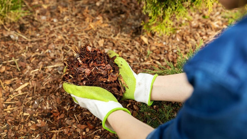 Mulching 600 Gramos / 30 Litros Paja De Trigo Sustrato