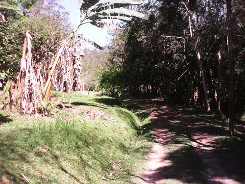 Imagem 15 de 24 de 6alqueres-jaceguava-ref 1929