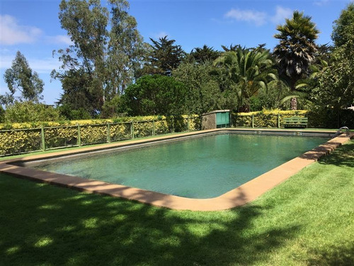 Imagen 20 de 24 de Agrícola En Venta En Algarrobo
