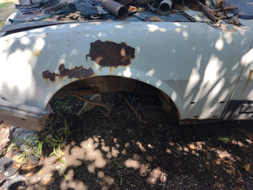 Repuestos Peugeot 504 (Usado)