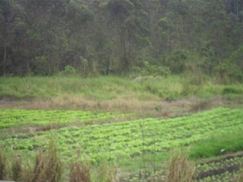 Imagem 8 de 11 de Ref.: 17682 - Area Em Suzano Para Venda - 17682