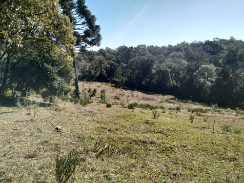 Imagem 28 de 30 de Chácara À Venda, 166375 M² Por R$ 4.000.000,00 - Costeira - São José Dos Pinhais/pr - Ch0081