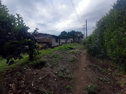 Se Vende Finca En La Y De Calarcá Quindío.