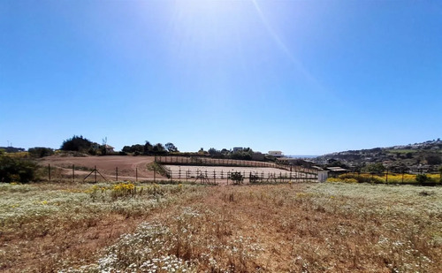 Terreno En Laguna Para Proyecto Inmobiliario