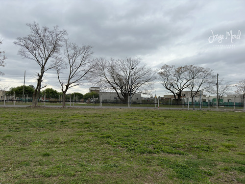 Lote Perimetral #200-300 - Pilar Del Este - Santa Lucia - 567m2 #id 17877