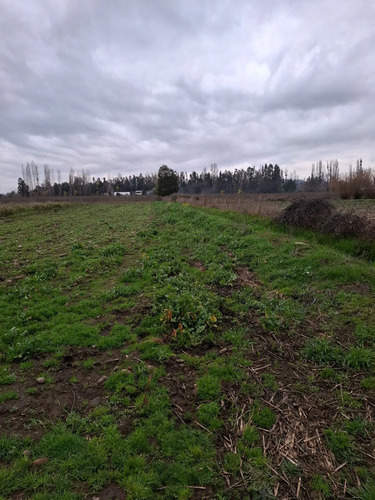 Hermosa Parcela 2 Ha.  20.000 M2,  Estacion De Villa Alegre