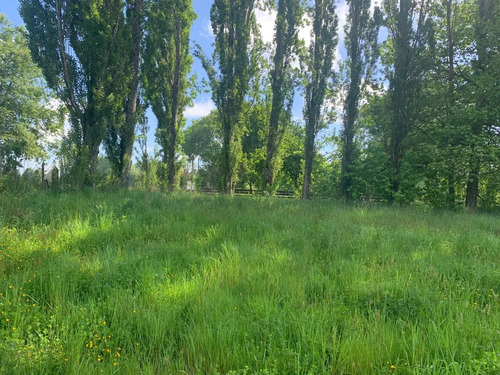 Inversión Segura Liquidamos Parcela Cerca De Temuco