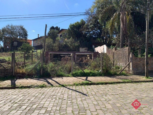 Imagem 5 de 5 de - V-2743