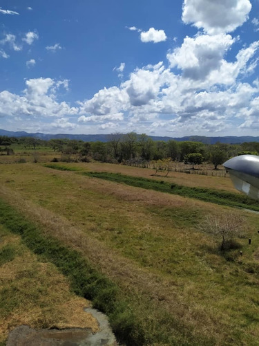 Imagen 3 de 24 de Venta Granja En La Ciudad Valencia Estado Carabobo