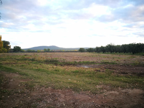 Finca De 22 Has En Rama Caida