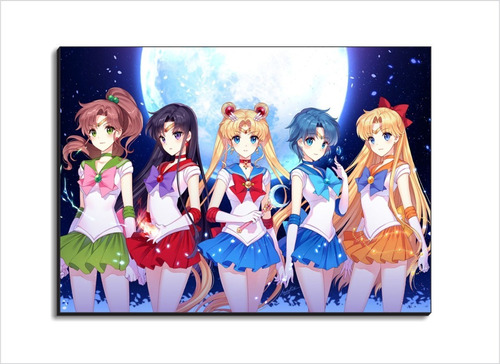 Cuadros Decorativos Sailor Moon   60x43cm