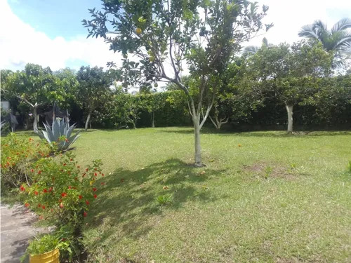Venta Finca Productiva Montenegro Pueblo Tapao - 11 Cuadras