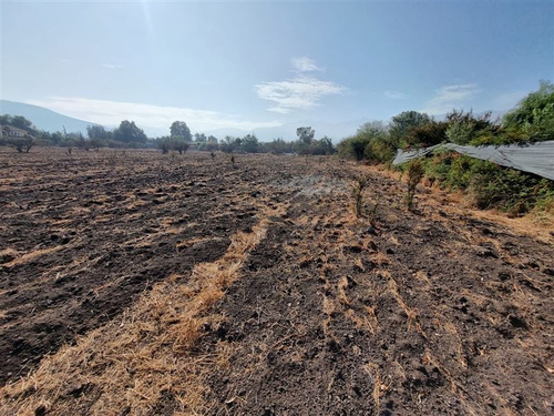 Venta Terreno 5.000 M2 Piedra Roja, Chicureo