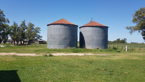 Imagen 10 de 30 de Campo - Navarro