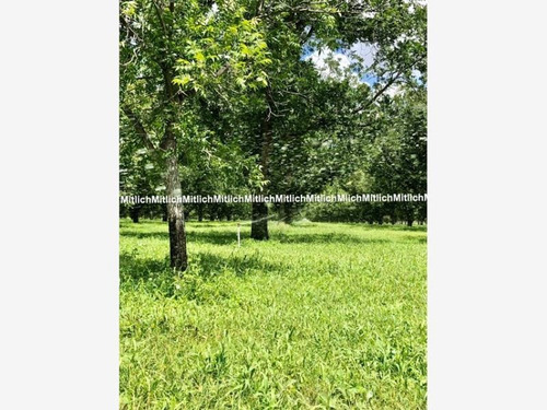 Imagen 6 de 12 de Rancho En Venta Ciudad Camargo Centro