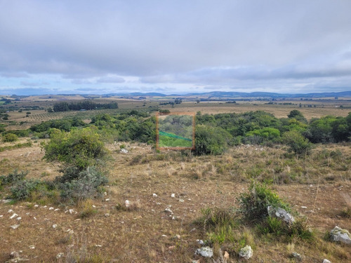 Imagen 2 de 30 de 79 Hás Campo Criador Y Serrano En Corte De La Leña