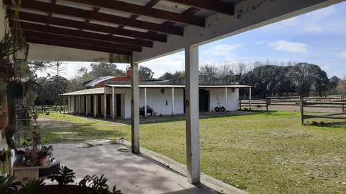 Campo C/ Caballerizas Y Casa Colonial - Villa Elisa