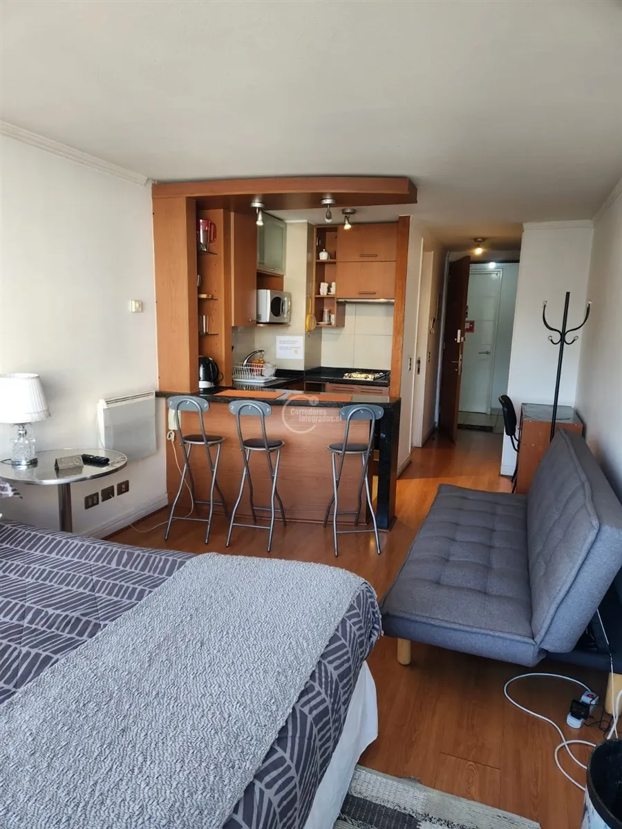 Imagen 2 de 22 de Dpto Venta 1 D. Las Condes Metro Manquehue