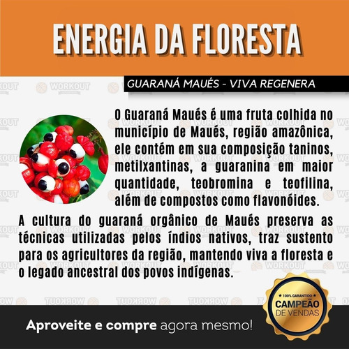 Imagem 3 de 6 de Guaraná 100% Puro Maués Amazônia Energético Afrodisíaco 100g