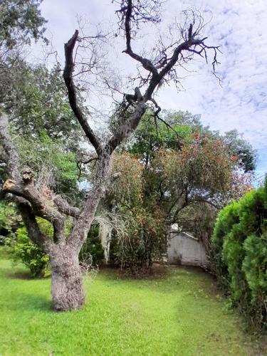 Terreno En Barrio El Cazador