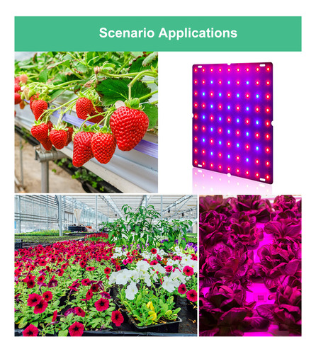 Luz De Cultivo Led Quantum, Espectro Rojo Y Azul Para Interi